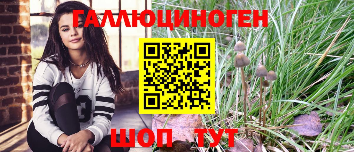 Галлюциногенные грибы мухоморы  Вход с VPN  Новороссийск 
