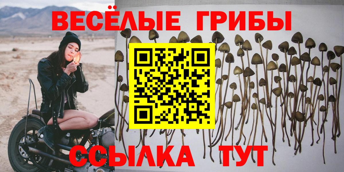 Псилоцибиновые грибы мухоморы Новороссийск