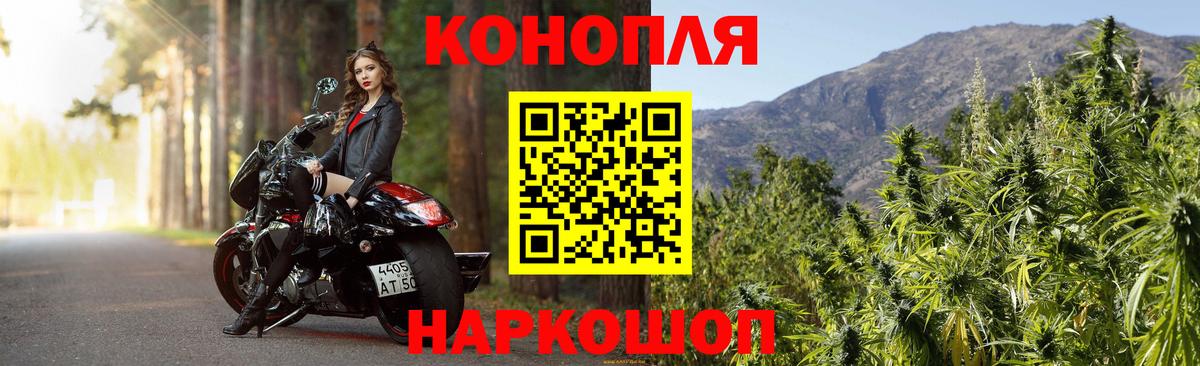 МАРИХУАНА OG Kush Новороссийск