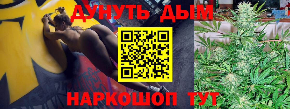 Новороссийск  Бошки марихуана семена  Каннабис сатива  Конопля VHQ  Вход с VPN 